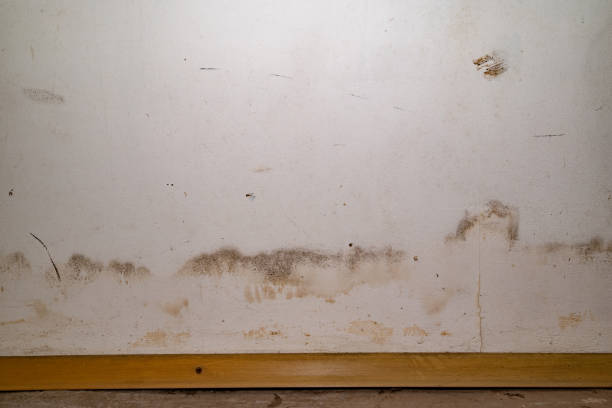 istock Flooding rainwater or floor heating systems, causing damage, peeling paint and mildew 2185722185