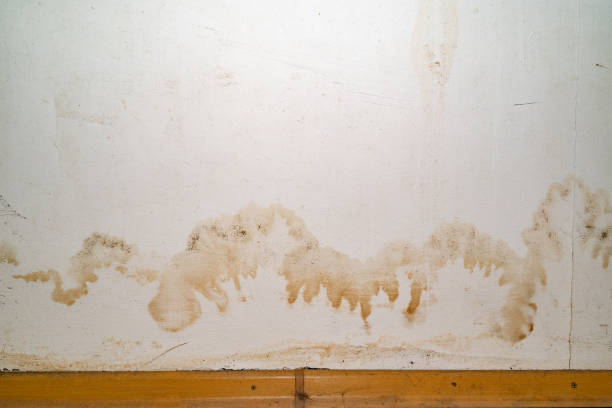 istock Flooding rainwater or floor heating systems, causing damage, peeling paint and mildew 2185722207