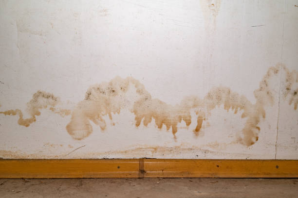 istock Flooding rainwater or floor heating systems, causing damage, peeling paint and mildew 2185722260