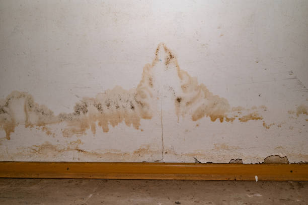 istock Flooding rainwater or floor heating systems, causing damage, peeling paint and mildew 2185722361