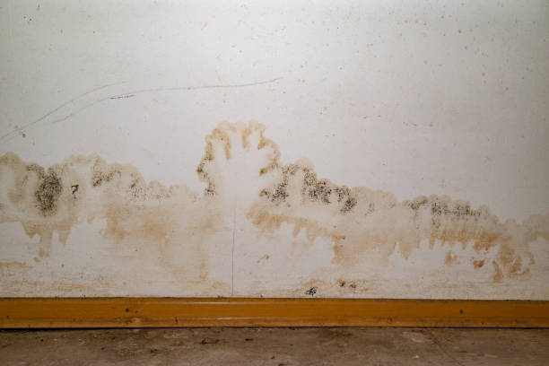 istock Flooding rainwater or floor heating systems, causing damage, peeling paint and mildew 2185722559