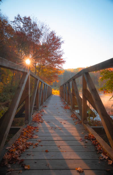 istock Autumn trees in the morning 2185722677