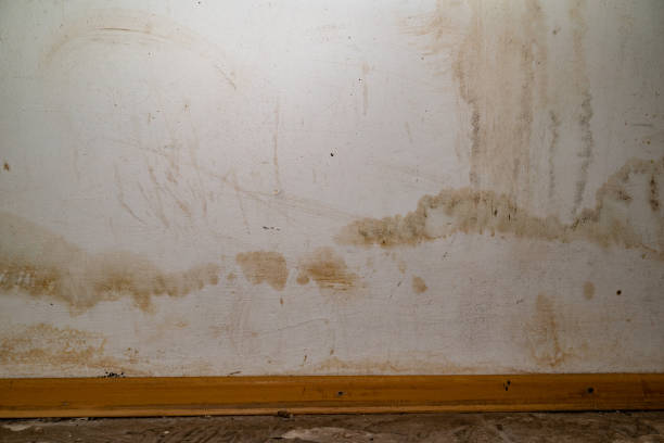 istock Flooding rainwater or floor heating systems, causing damage, peeling paint and mildew 2185722706