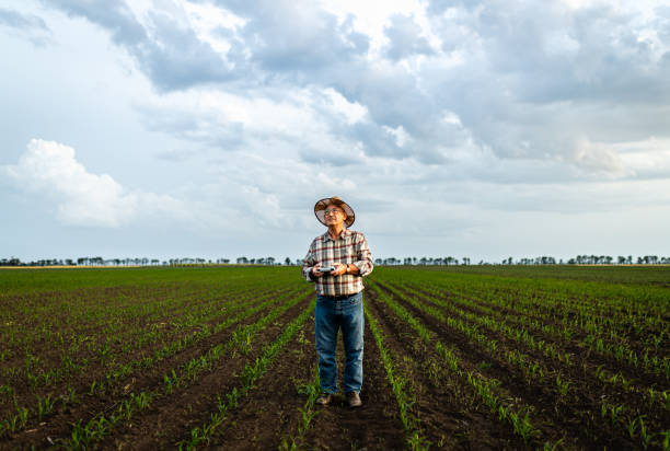 istock Senior farmer standing in corn field controlling drone for examining crop. 2185723245