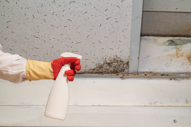 istock Human found mold on wall , in your residential building after renovation 2185723402