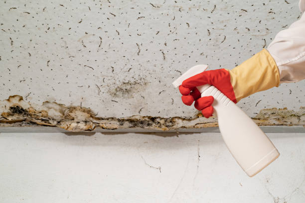 istock Human found mold on wall , in your residential building after renovation 2185723452