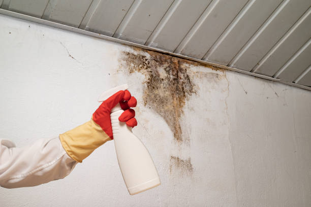 istock Human found mold on wall , in your residential building after renovation 2185724450