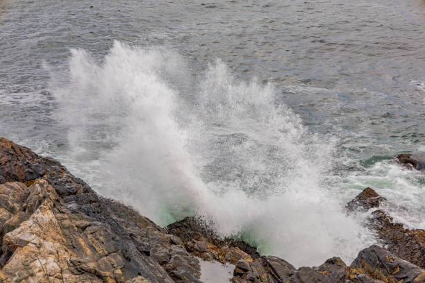 Waves crashing along the Maine coast
