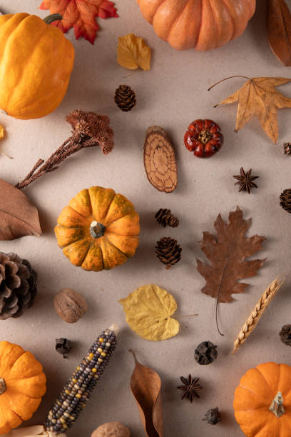 istock Autumn Background with Leaves and Pumpkins 2185725443