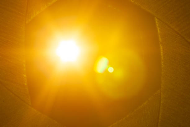 Sun flare on the black background