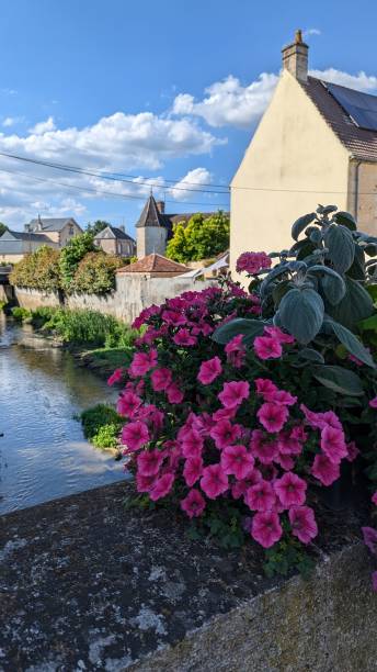 istock A peaceful place with flowers 2185739463