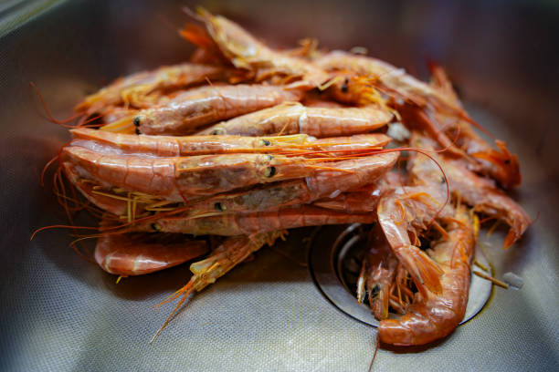 Two Cooked Shrimp on White Background