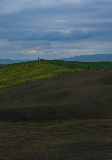 istock Tuscany fields in springtime, cloudy day mood, Val d'Orca, Pienza region 2185744977