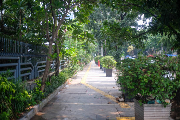 istock A shaded urban sidewalk lined with potted plants, trees, and tactile paving for accessibility. 2185750733