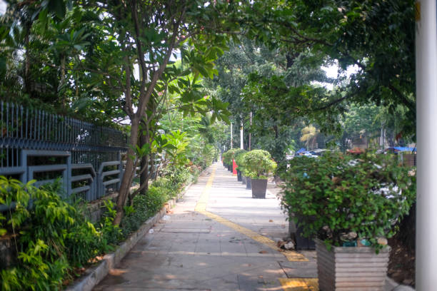istock A shaded urban sidewalk lined with potted plants, trees, and tactile paving for accessibility. 2185751004