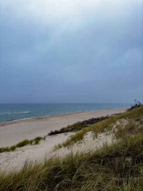 Beach grass at sunset on the Baltic Sea.
