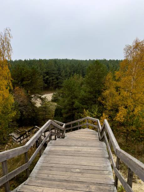 istock Wooden Staircase Through Autumn Forest on the Curonian Spit 2185756743