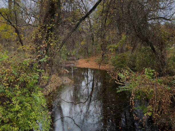 An Autumn landscape in a rural area