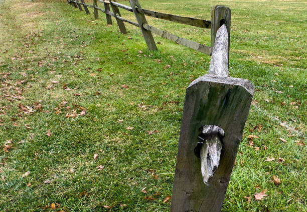 istock A fence line in a rural field 2185758576