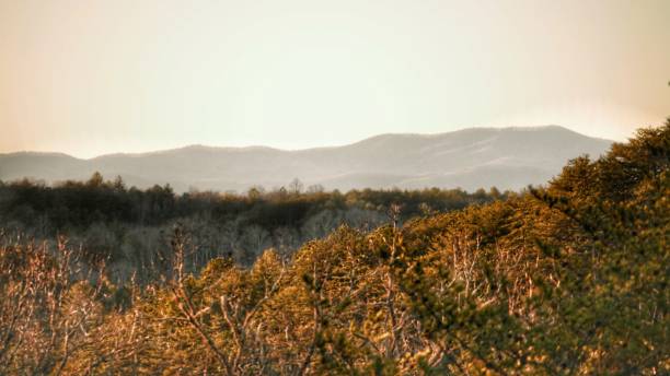 istock Forested hills and distant mountains under a warm sky. 2185762418
