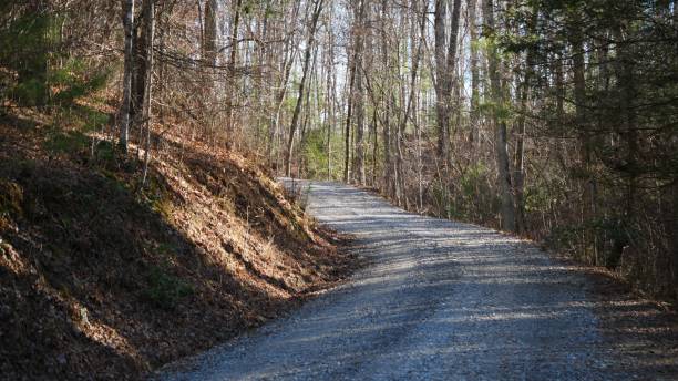 istock Sunlit gravel path in forest 2185762718