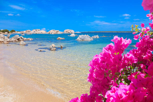 istock Beautiful beach, Sardinia, Sardinia, Italy 2185765424