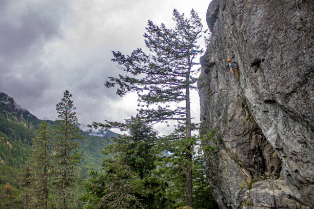 Young woman climbs vertical rock wall above forest, British Columbia