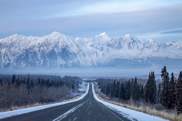 Highway in mountains and forest in fresh snow