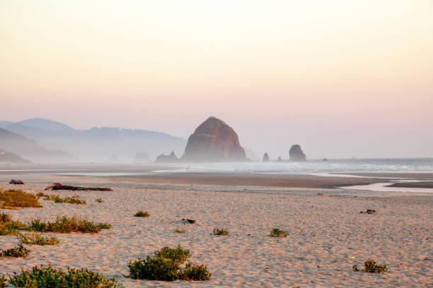 View across sandy beach to island in ocean at sunset, Haystack Rock, Oregon Islands National Wildlife Refuge