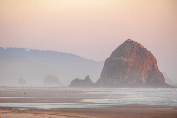 View across sandy beach to island in ocean at sunset, Haystack Rock, Oregon Islands National Wildlife Refuge