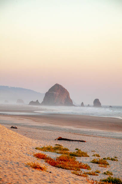 istock View across sandy beach to island in ocean at sunset 2185770245