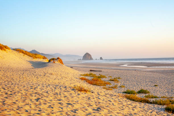 istock View across sandy beach to island in ocean at sunset 2185770284