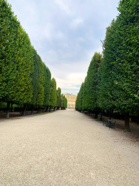 istock Tall green trees surrounding gravel path 2185772366