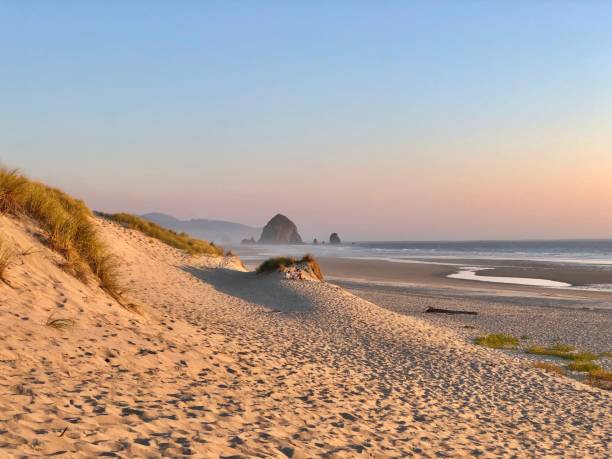 istock View across sandy beach to island in ocean at sunset 2185773464