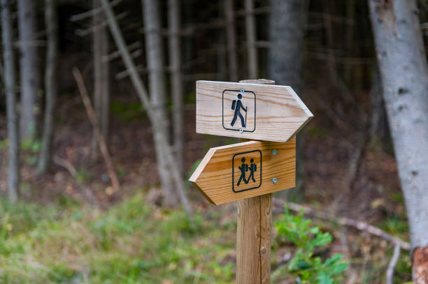 istock Hiking sign pointing at hiking trail through the forest. 2185773792