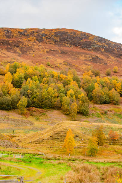 istock Scenic Autumn Landscape in Scotland Highlands 2185776213