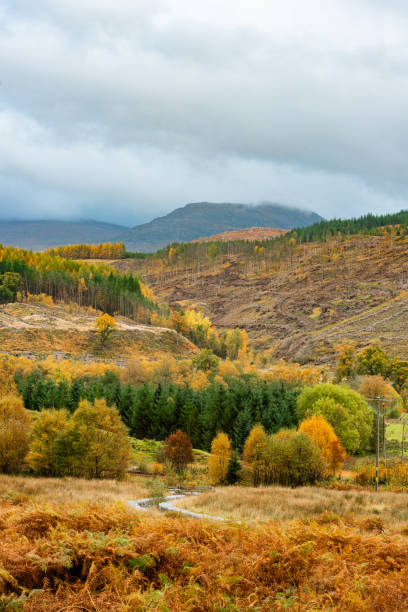 istock Scenic Valley with Trees in Scotland Highlands 2185776515