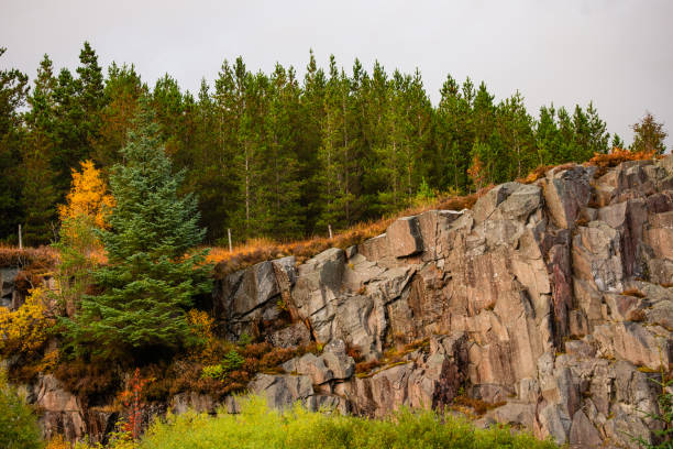 This is a scenic landscape of the Scotland Highlands with autumn leaf foliage on an overcast October day.