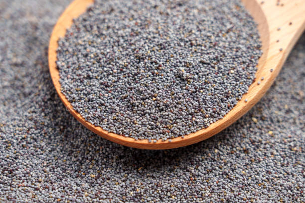 Organic poppy seeds in a wooden spoon. Nutritious ingredient in healthy recipes for natural flavor and texture