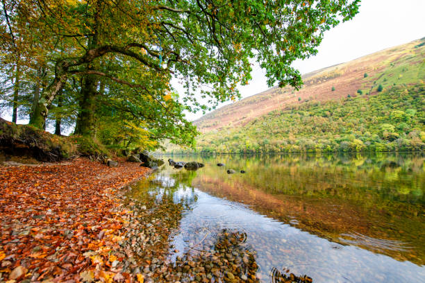 This is a scenic landscape of a loch reflecting the hillside in the Scotland Highlands on an overcast October day.