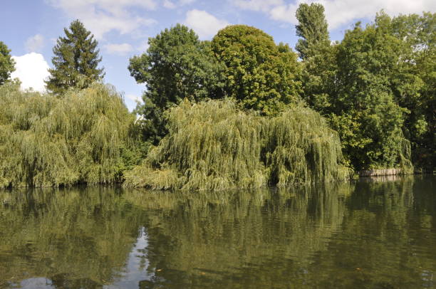 istock Le Loing in Moret sur Loing 2185781190