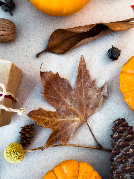 istock Autumn Background with Leaves and Pumpkins 2185783292