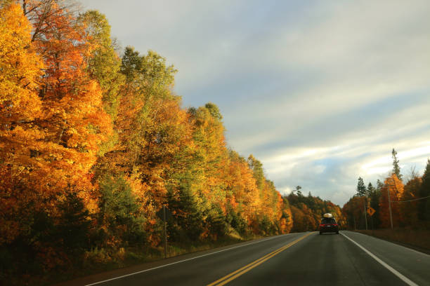 A beautiful autumn scene with large trees full of bright orange and yellow leaves arching over a quiet path. Sunlight shines through the trees, lighting up the colors. Down the hill, a small village is tucked among the trees. Driving on the road make the scene feel calm and peaceful. This shows the beauty of fall in a quiet community.
