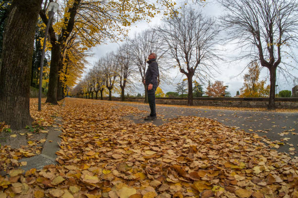 istock Uomo nel parco in autunno 2185785001