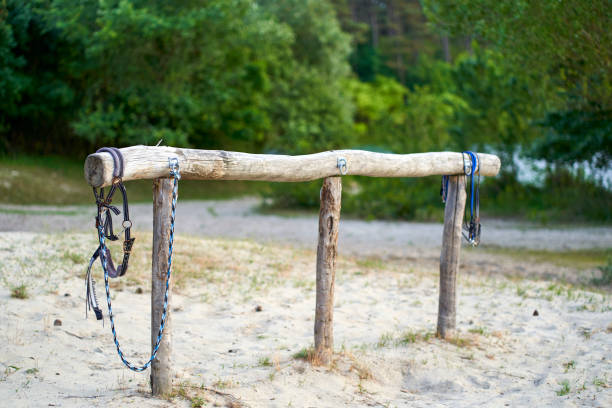 istock Tethering place (Anbindeplatz) with bridle for horses. Device for securing animals. Construction of wood on sand in the forest. 2185785114