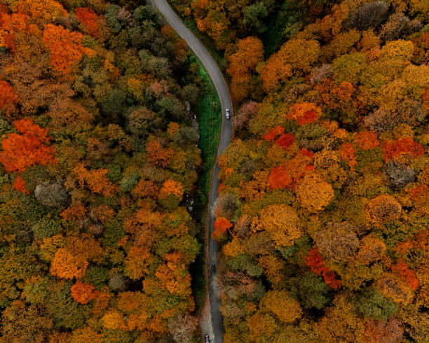 istock DRONE AUTUMN SAPANCA 2185798728