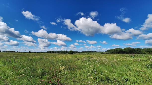 istock Vast green meadow under a bright blue sky with fluffy clouds 2185800189