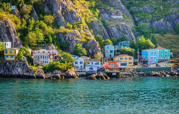 istock Morning in St. John's Harbor 2185801353