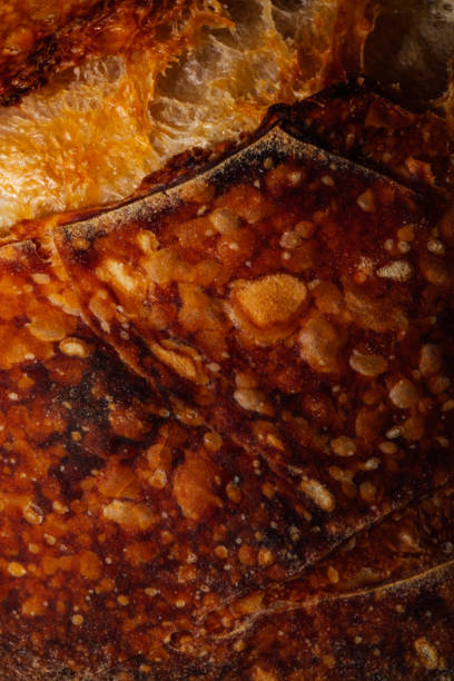 sourdough bread texture