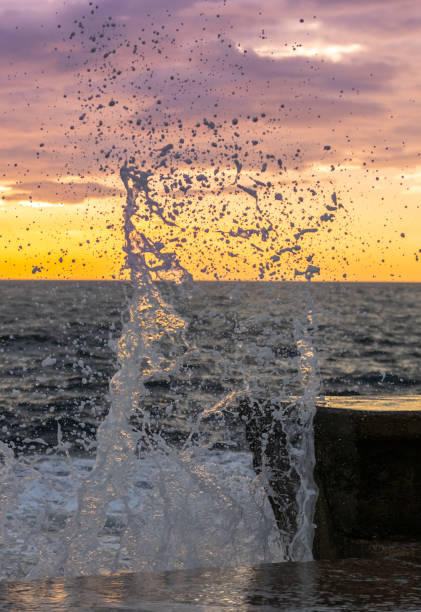 Splashing sea waves on coastline at sunset.